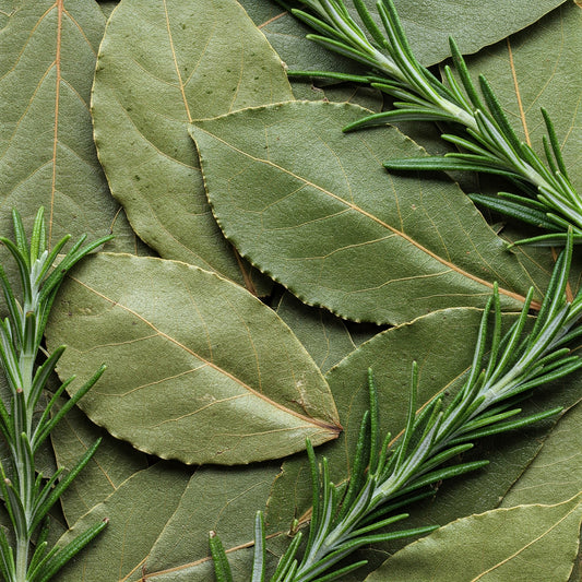 Bay and Rosemary Diffuser